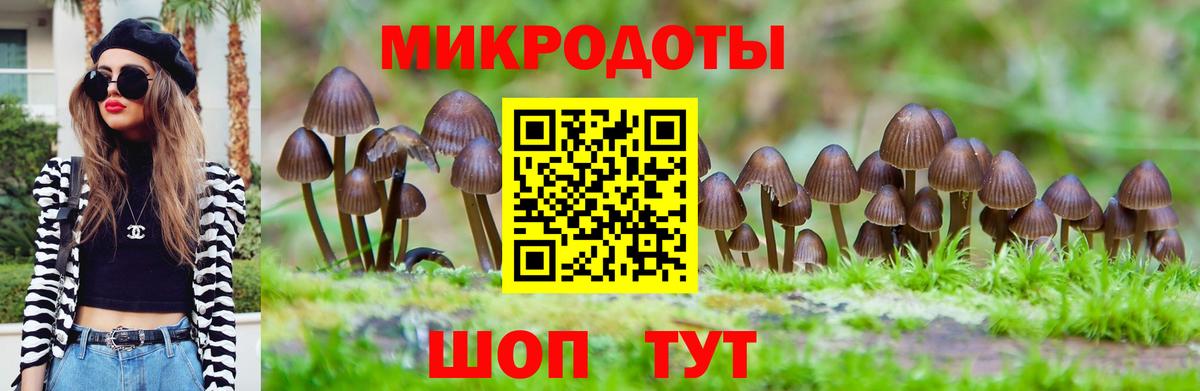 даркнет сайт  Псилоцибиновые грибы мицелий  Вход с VPN  Кунгур 